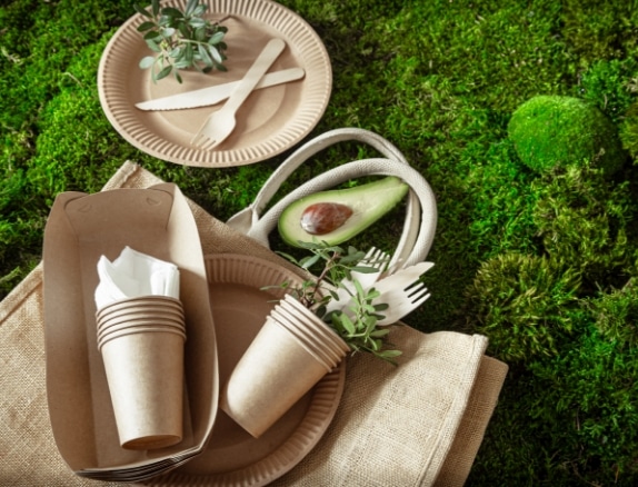Sustainable and eco-friendly