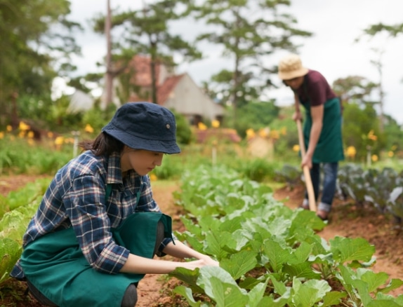 Organic farmers