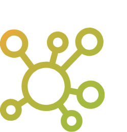 Connect